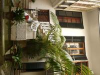 arabische Spuren in Palma