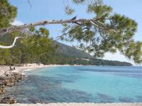 Thailand? Nein Malle!