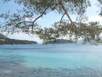 Paradis auf Mallorca