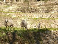 Na Hallo - wer bist du den?