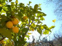 La Granja - Außenbereich