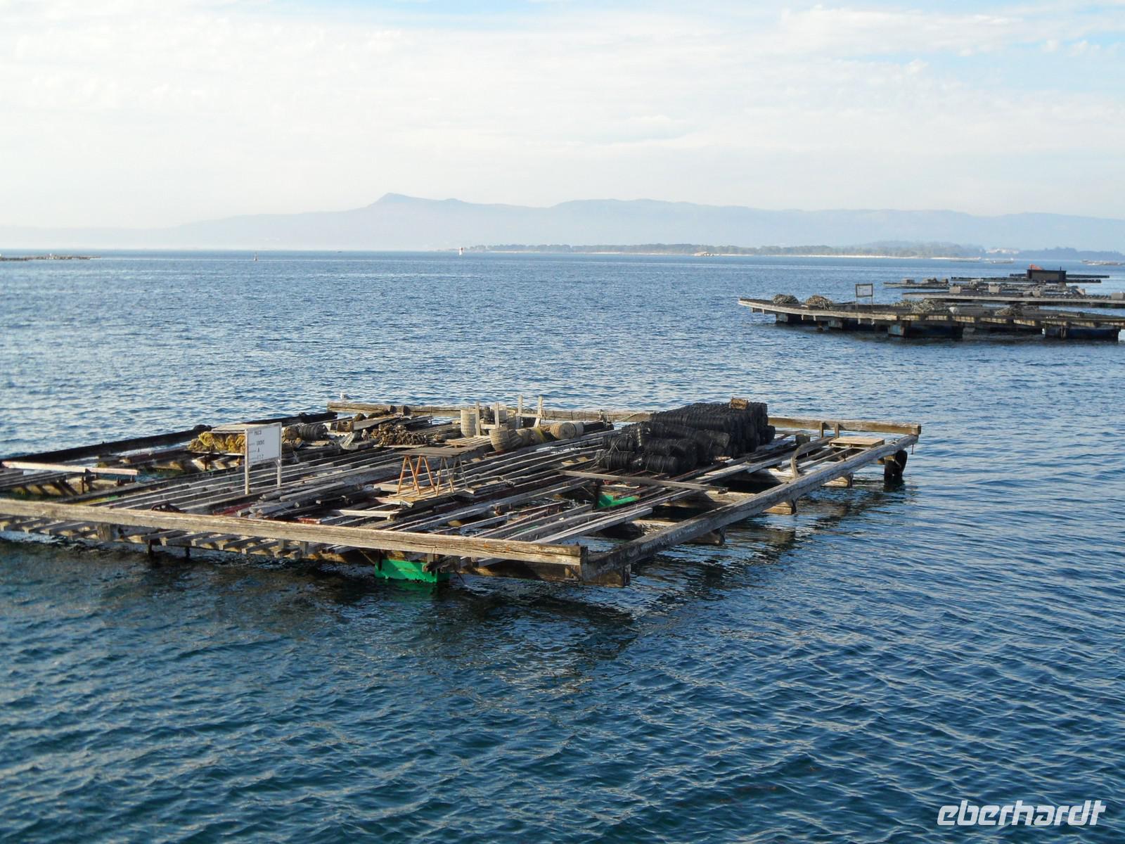 Bootsfahrt zu den Muschelbänken der Ría de Arosa