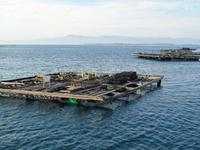 Bootsfahrt zu den Muschelbänken der Ría de Arosa