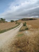 Wanderung auf dem Jacobsweg nach Muruzábal