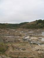Besichtigung der Salinas de Añana