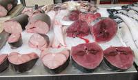 Thunfisch in der Markthalle von Funchal &ndash; &copy; Marion Kottlos (Eberhardt TRAVEL)