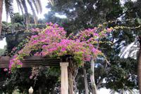 Im Park Santa Catalina &ndash; &copy; Marion Kottlos (Eberhardt TRAVEL)