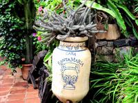 Betancuria in der Casa Santa Maria &ndash; &copy; Marion Kottlos (Eberhardt TRAVEL)