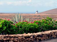 Blick vom Freilichtmuseum „La Alcogida“ &ndash; &copy; Marion Kottlos (Eberhardt TRAVEL)