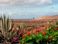 Blick vom Freilichtmuseum „La Alcogida“ &ndash; &copy; Marion Kottlos (Eberhardt TRAVEL)