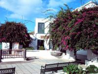 Im Tal der 1000 Palmen &ndash; &copy; Marion Kottlos (Eberhardt TRAVEL)