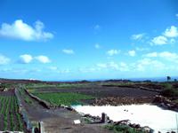 Auf dem Weg zu den Jameos del Aqua &ndash; &copy; Marion Kottlos (Eberhardt TRAVEL)