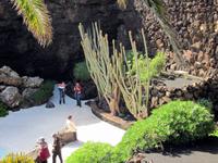 Kakteen in den Jameos del Agua &ndash; &copy; Marion Kottlos (Eberhardt TRAVEL)