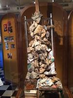 517 Sonderausstellung