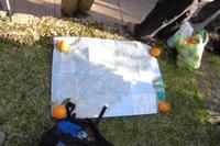 Morgentliches Ritual