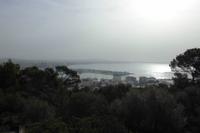 Blick vom Schloss Bellver auf Palma