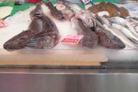 Frischer Fisch im Mercat d'Olivar