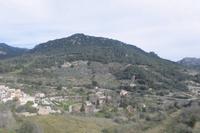 Blick in die Sierra de Tramuntana