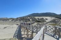 Dünen in Cala Mequida