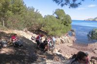 Picknick, die Zweite!