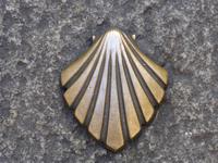 Jakobsmuschel - Symbol des Jakobsweg in Burgos