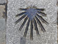 Jakobsmuschel - Symbol Jakobsweg