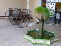 Villafranca - Detail in Weingut Torres