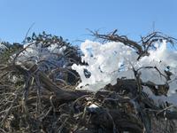 Eis und Schnee vom Vortag...