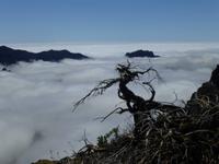 ...über den Wolken auf La Palma 