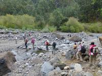 ...über Stock und Stein