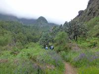 Wanderung in der Caldera Taburiente