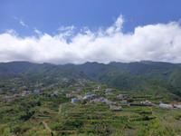 Terrassenfelder - La Palma