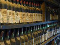 Tapas- und Weinverkostung