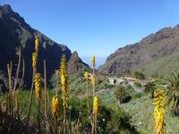Wanderung Masca-Schlucht
