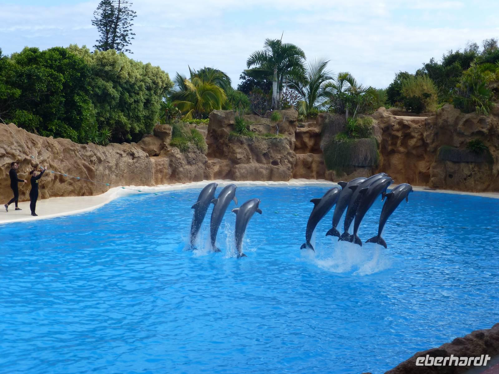Loro Parque