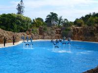 Loro Parque