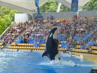 Loro Parque