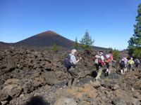 Wanderung am Chinyero