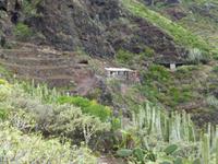 Wanderung im Anaga-Gebirge