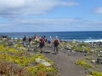 Strand „Playa del Tamadite“