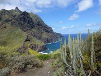 Küstenwanderung Teneriffa