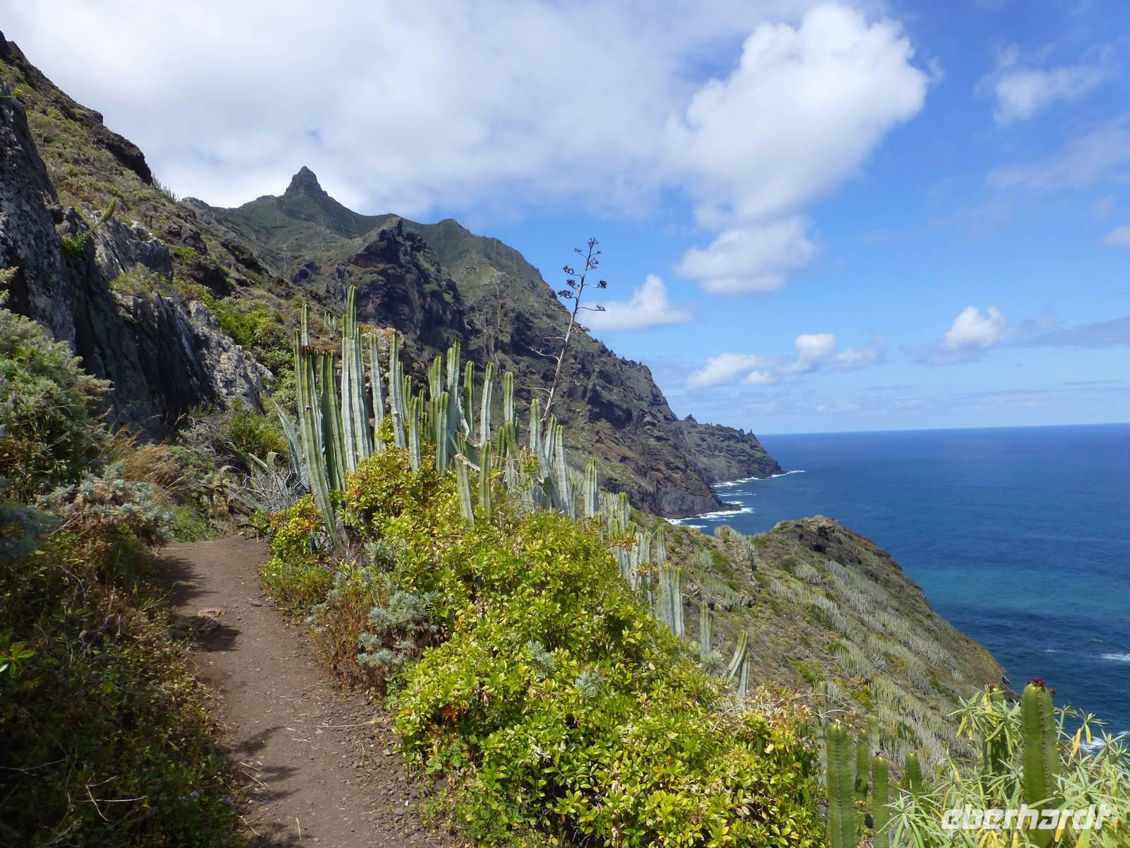 Küstenwanderung Teneriffa