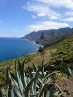 Küstenwanderung Teneriffa