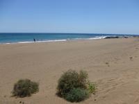 Am Strand von Puerto del Carmen