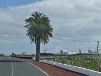 Auf dem Weg in den Kaktusgarten