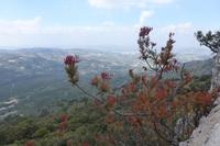 Landschaft der Sierra de la Subbetica