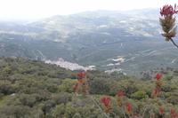 Landschaft der Sierra de la Subbetica