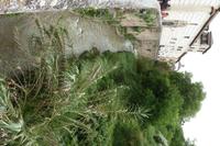 Stadtrundgang in Granada