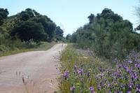 via verde de la sierra