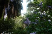 Stadtrundgang in Ronda